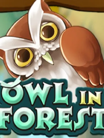 Owl In Forest